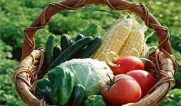 沈阳房产销售吃瓜爆料,吃瓜爆料揭露行业真相